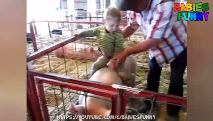 Hilarious! Funny Kid Riding Pig! Funniest Babies Ever