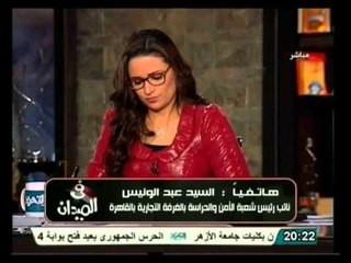 الضبطية القضائية هل ستُحول مصر إلى دولة مليشيات..؟