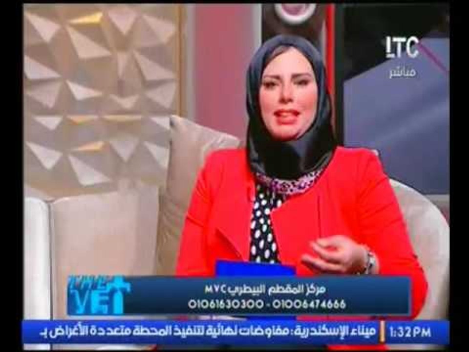برنامج The Vet | مركز المقطم البيطرى MVC - 10-2-2017