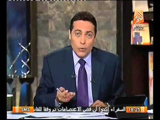 بالفيديو الغيطي يهاجم البرادعي بعد تصريحاته في نص استقالته