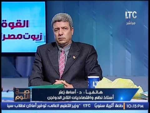 حصرى .. استاذ انتاج الدواجن يكشف مشروع ضخم يساعد مصر على الاكتفاء الزاتى من الدواجن