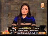 د/ صلاح الغزالى حرب : أن الأوان ان تحل الأحزاب الدينية لتعود مصر لطبيعتها