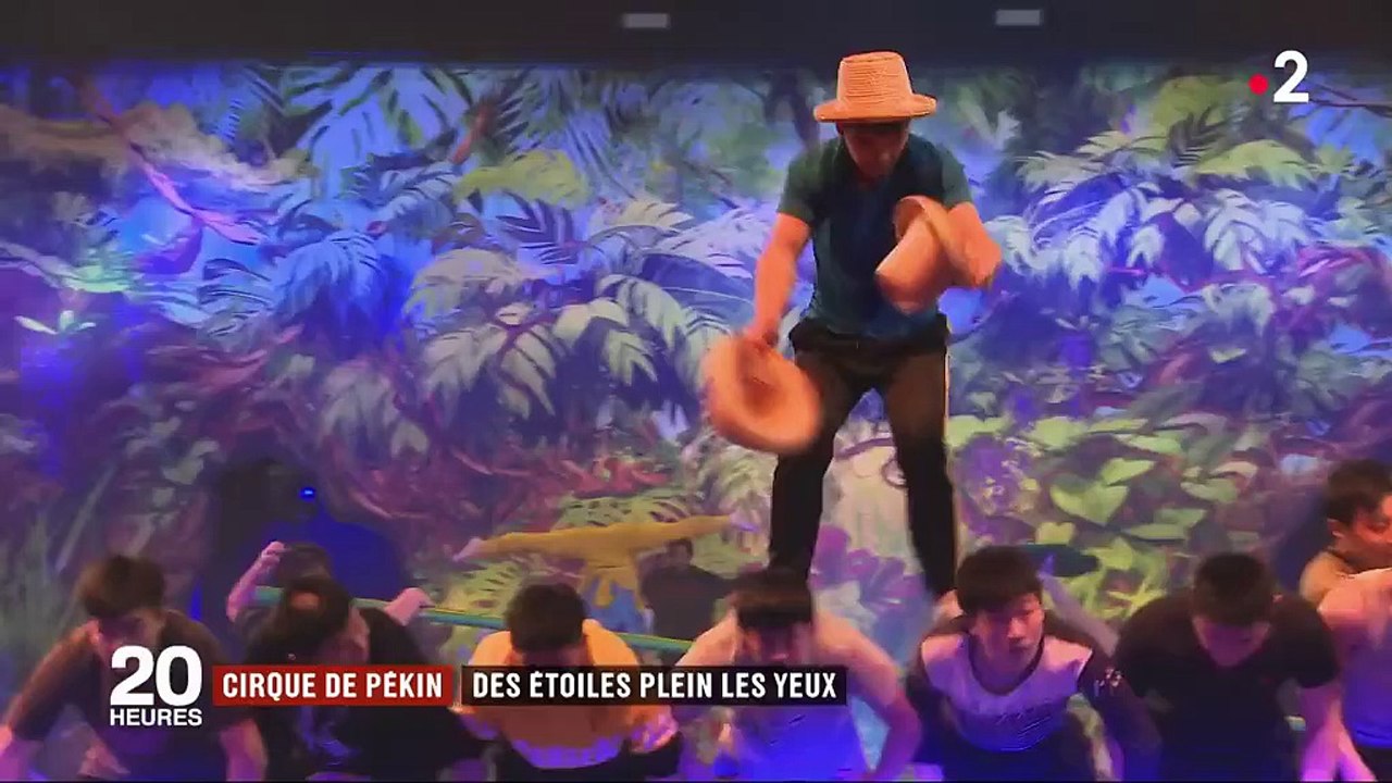 Cirque Phénix : des étoiles plein les yeux