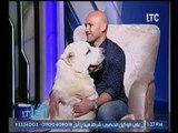 برنامج The Vet|ولقاء مع مدرب الكلاب أحمد حسيب وحوار ساخن عن مشاكل الكلاب 10- 3- 2017
