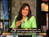 بالفيديو.. رانيا بدوي تعلن الحرب علي الحكومه و تفضح تناقض الببلاوي مع وزرائة و كذبهم