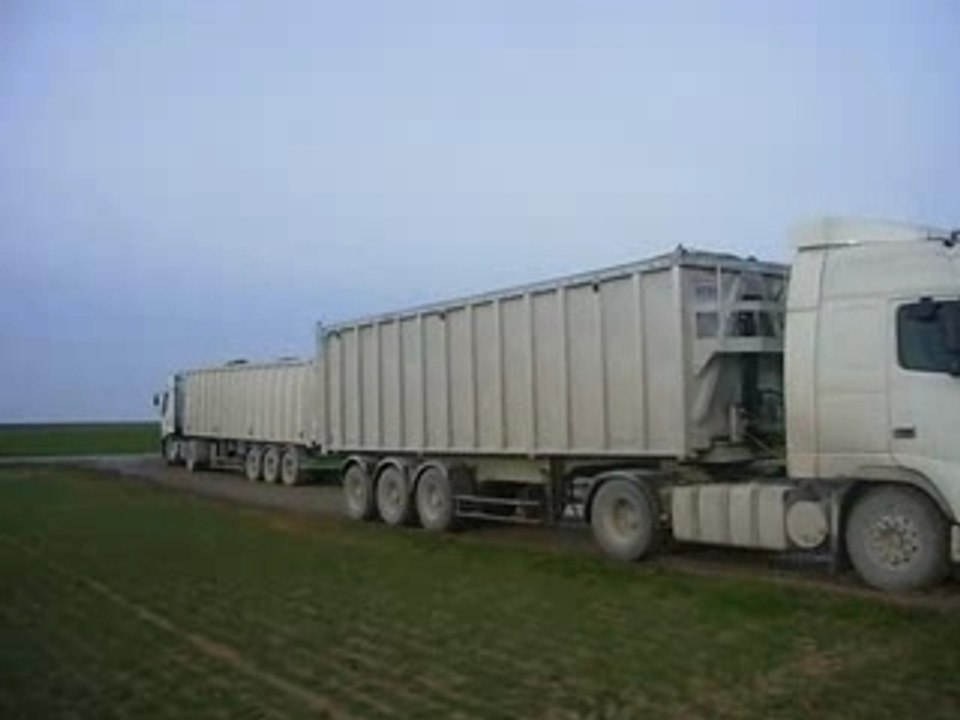 Grue betteraves 2007