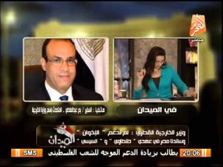 أقوى تعليق من المتحدث الرسمى لوزارة الخارجية على تعليق خارجية قطر