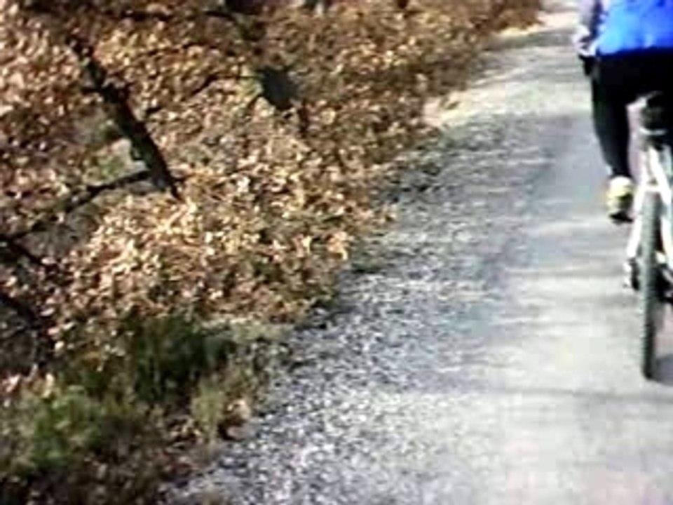 Sortie du bout de l'an (8)