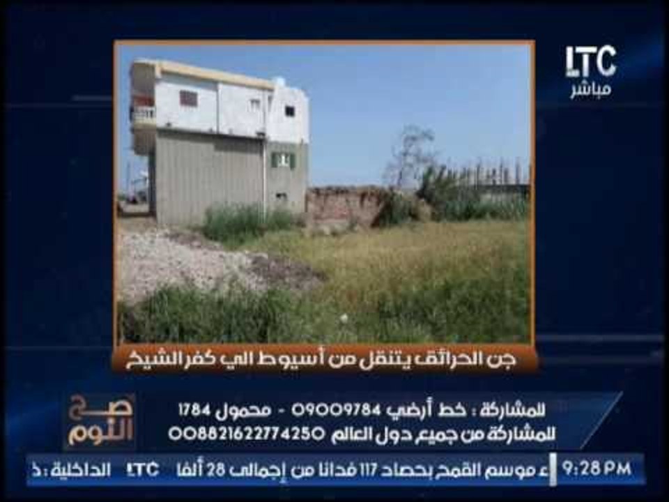 الغيطى ساخرا الجن يتنقل من أسيوط إلى كفر الشيخ "البلد دى معمولها عمل و بتحب تعيش فى التخاريف"