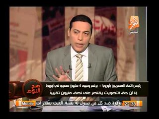 رئيس المصرين بأوروبا يكشف قصور الخارجية فى الإستفتاء على الدستور بالخارج