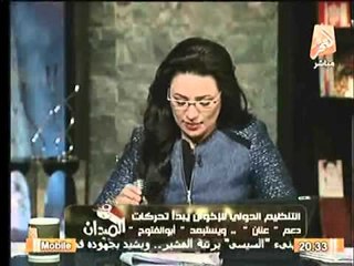 المخطط الكامل لجلسة الاخوان السرية لدعم سامي عنان لمواجهة السيسي ورصد 85 مليون دولار لدعم عنان