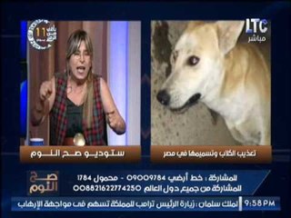 دينا ذو الفقار تصرخ على الهواء : " فين الاسلام و الدين من تسميم الكلام فى مصر "