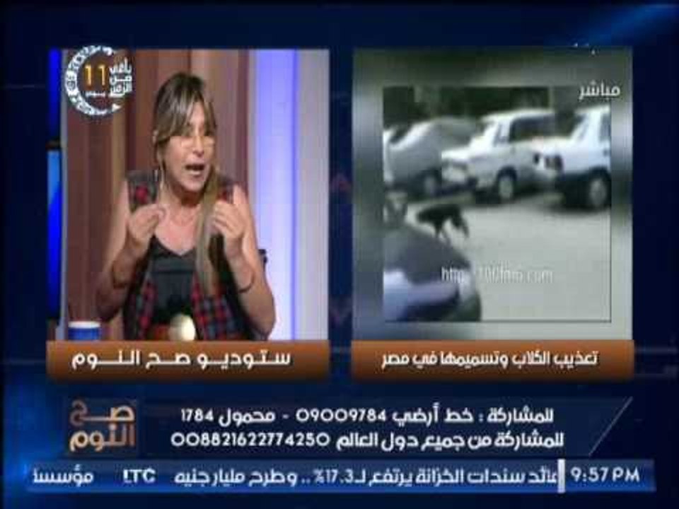 بالفيديو .. "صح النوم" يرصد فضائح مدوية عن تعذيب الكلاب و تسميمها فى مصر .. مؤثر جدا