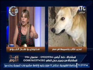 دينا ذو الفقار : " الحكومه تقتل الكلاب بطريقة الدواعش مع الإنسان " و تنفعل على الهواء