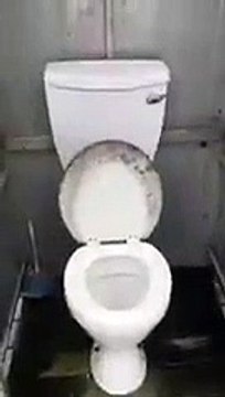 Эхх...Мне бы такой туалет