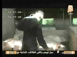 تقرير.. أزمة "انفلونزا الخنازير" في مصر