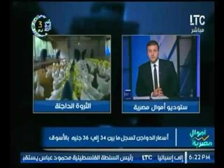 برنامج أموال مصرية | مع أحمد الشارود حلقة بلقاء خبيرة الاسواق المالية رانيا يعقوب-23-5-2017