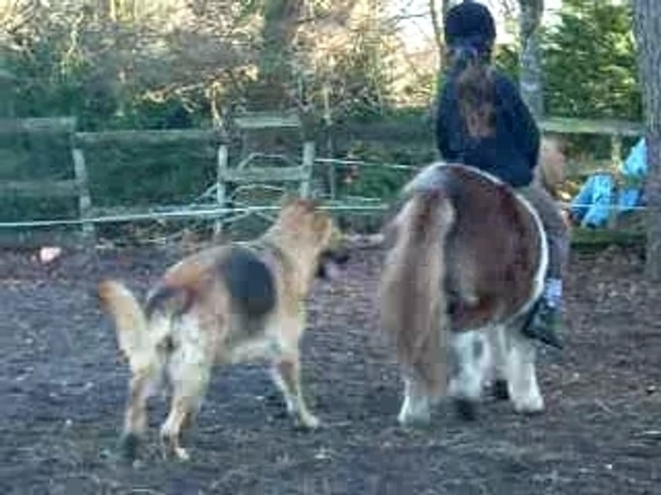 marianne sur petit pied chute 2
