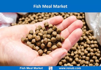 Fish Meal Market is expected to be 6.8 Thousand Tons by 2024
