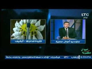 رئيس شعبة الدواجن يوضح السعر الحقيقي لبيع الدواجن بالاسواق ويطالب بالرقابة