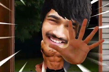 Kung Fu Guy funny video