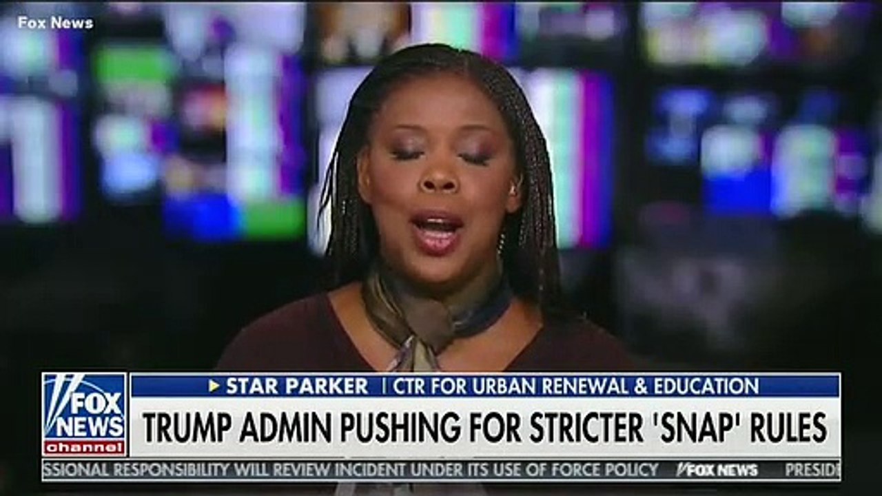 Fox News Guest Says Some Food Stamp Recipients Aren't Working Because They're Busy 'Watching Porn'