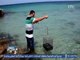 تقرير  .. إبتكار الة روبين كاميرا تخترق مياه البحار لإختيار انواع الاسماك قبل صيدها