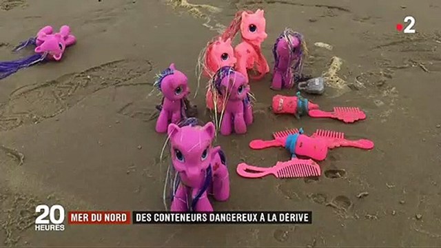 Un navire perd 270 conteneurs en Mer du Nord, certains habitants d'une île proche se servent - Regardez