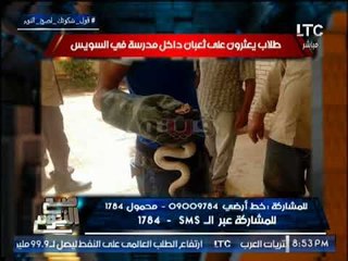 بالصور ... طلاب مدرسه يضبطون " ثعبان " مميت تسلل للحوش