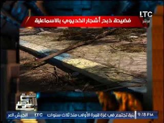 الغيطى لــ "حافظ الاسماعيليه" عن فضيحة ذبح اشجار الخديوى : صح النوم سعادة المحافظ