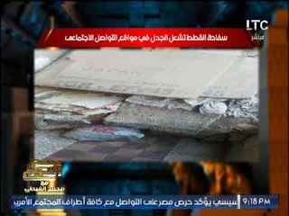 " صح النوم " يرصد سفاحة القطط و الغيطى احموا البشر قبل الحيوانات