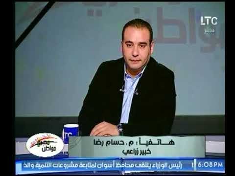خبير زراعي يفجر كارثة بخصوص الري بمياه الصرف الصحي وتأثيره علي صحة الإنسان