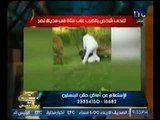 فيديو علقة موت لمواطن يعتدي علي سيده