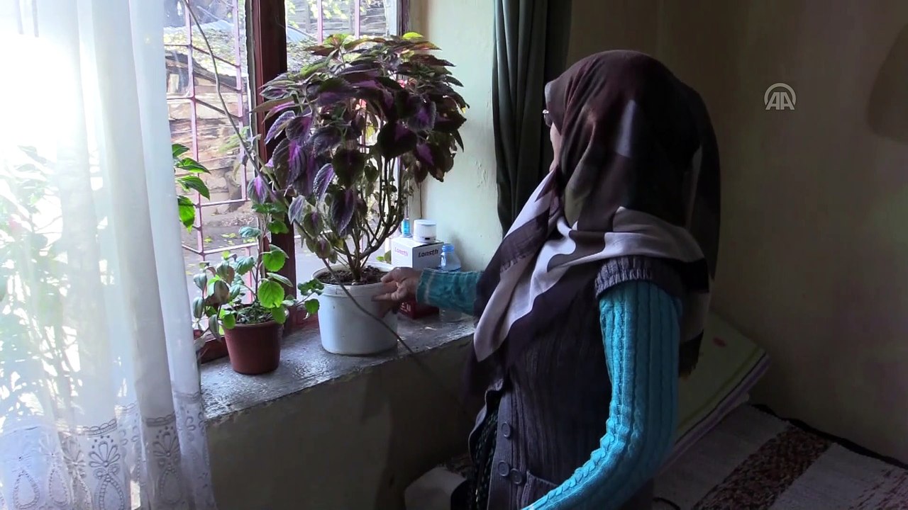 Ayakkabı boyacısı kadının ekmek mücadelesi - MALATYA