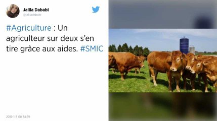 Agriculture. Un agriculteur sur deux s’en tire grâce aux aides