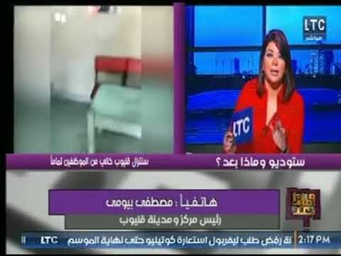 مشادة كلامية عالهواء بين علا شوشة ورئيس مدينة قليوب حول واقعة سنترال قليوب خالى من الموظفيين