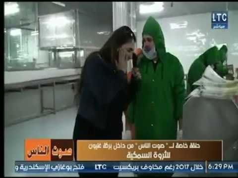 تعرف على مراحل إنتاج الأسماك وتنظيفها وتغليفها داخل بركة غليون