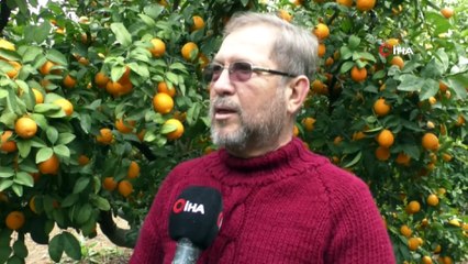 Kabuğu turuncu olan meyvenin limon olduğuna inandıramıyor