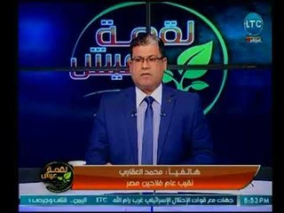 نقيب عام فلاحين مصر يكشف تفاصيل اتفاقية استصلاح 20 ألف فدان مع شركة الريف المصري