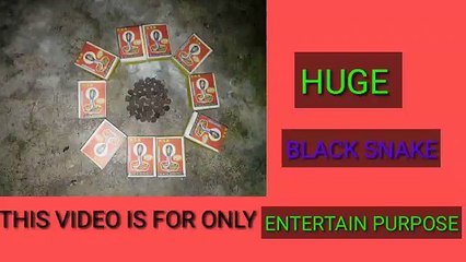 SABSE BADA SAANP _ HUGE BLACK SARPENTS ( 360 X 640 )