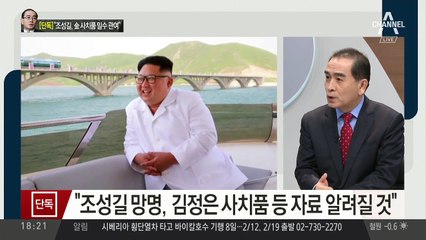 [단독]“조성길, 金 사치품 밀수 관여”