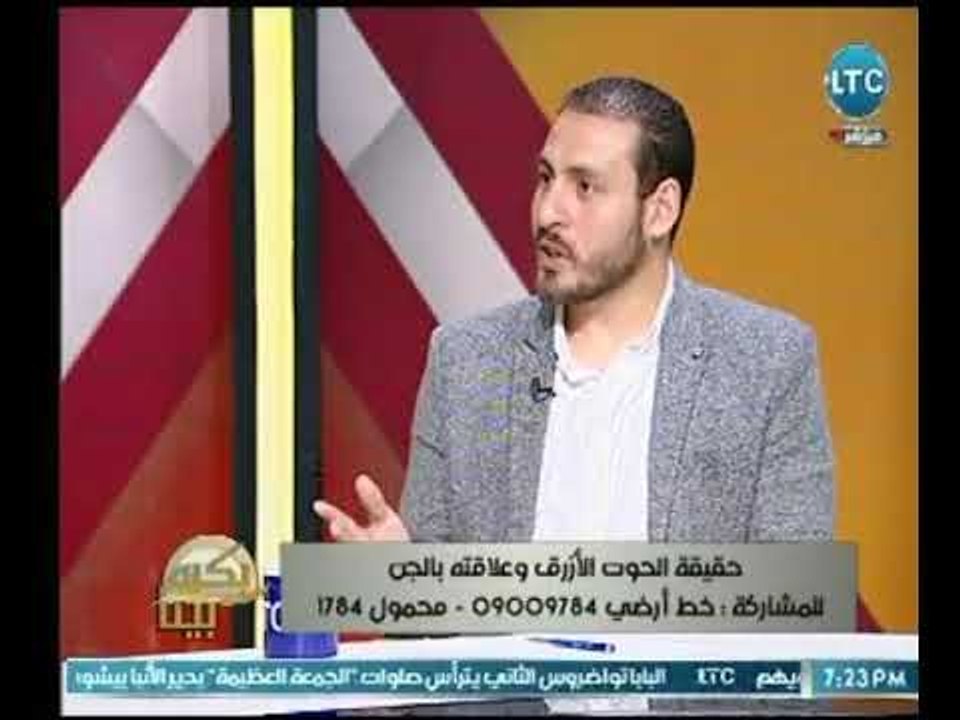 استشاري نفسي : ضياع هوية الطفل السبب الرئيسي فى اللجوء لهذه الالعاب الالكترونية