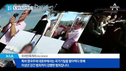 [뉴스분석]조성길 망명 타진…대사 역 수행하다 갑자기 왜?
