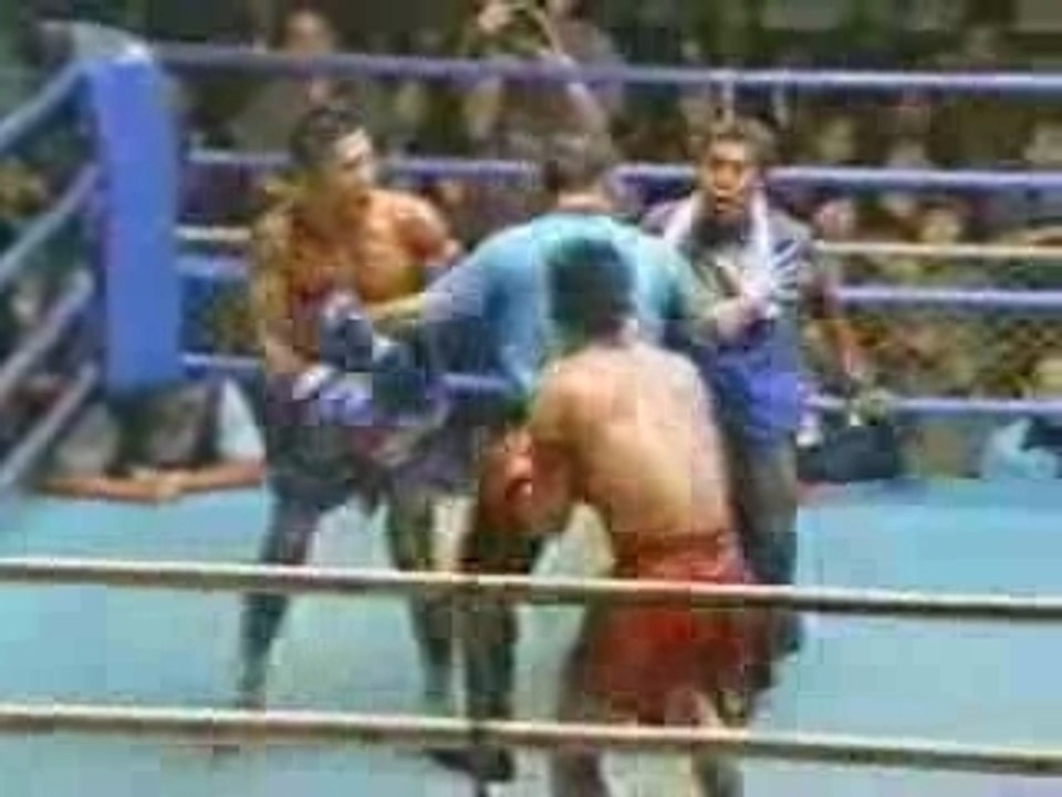 boxing mortel (13 ans et plus )