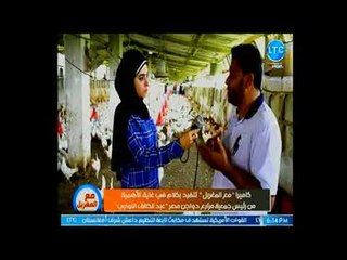 كاميرا مع المغربل تعرض تفاصيل لأول مرة عن زيادة أسعار الدواجن في الأيام الحالية