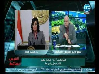 د. مني محرز نائبة وزير الزراعه تكشف دور الوزاره في توفير والرقابه علي أضحية العيد