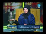 أحلي حياة - داعية اسلامي يضع شروط الحجاب الشرعي ويؤكد : النقاب ابو ترتر غير معترف به