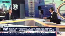 La finance est-elle l'acteur décisif pour la lutte contre le réchauffement climatique ? - 03/01