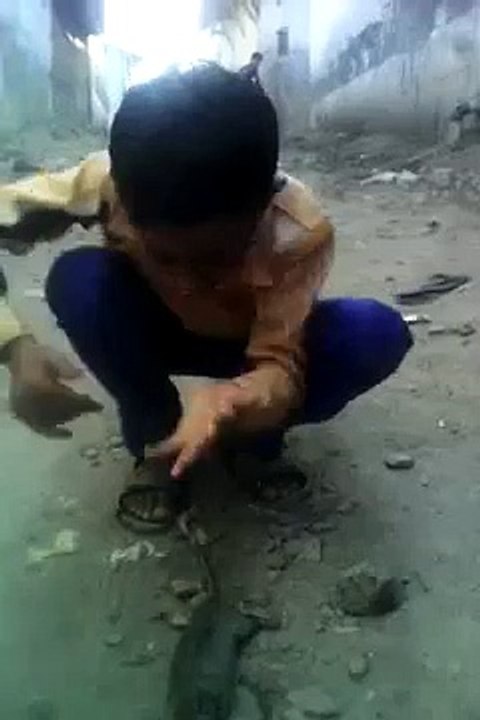 funny video_2019