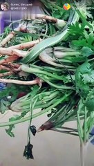 Awareness video in tamil/ green snake in spinach bought in market/ spinach / green snake attack/that crazygirl
